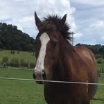 Melody Richards - @melody.richards007 - Instagram