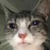 Melody Roberson - @melody.roberson - TikTok