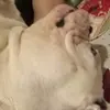 Melody Robertson - @melody.robertson5 - TikTok