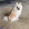 melodyrussell81 - @melodyrussell81 - TikTok