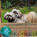 Melody Shaffer - Facebook