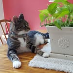 Melody Shaffer - @shaffermelody - Instagram