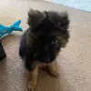 Melody - @melodytheshepherd - TikTok
