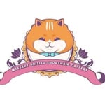 MELODY BRITISH SHORTHAIR CATTERY - @melodybritishshorthaircattery - Instagram