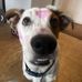 Melody Short - Facebook