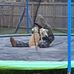 Melody Sikes - Facebook