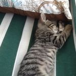 Aleynayı Çok Seviyorum - @melodysinkle - Instagram