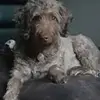 Melody Snyder - @melody.snyder - TikTok