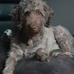 Melody Snyder - @melodysnyder63 - Instagram