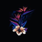 melody song - @best_melody_songs_ - Instagram