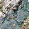 Melody Stephens - @melody.stephens4 - TikTok