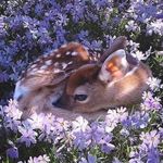 Melody - @melodytanner63 - Instagram