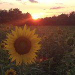 Melody Tolbert - @mtbert75 - Instagram