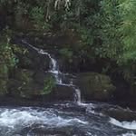 Melody Tully - @melodytully - Instagram