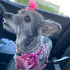 melodywaller593 - @melodywaller593 - TikTok