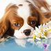 Melody Weaver - Facebook