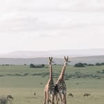 melody.weeks - @melody.weeks.330 - Instagram