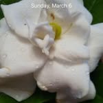 Melody Whitaker - @birdhous1 - Instagram
