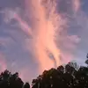 Melody - @melody.willis7 - TikTok