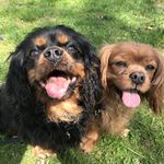 MelodyandWinston - @melodyandwinston - Instagram