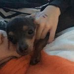 Melody Yarbrough - @melody_mel113 - Instagram