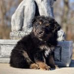 Melonie Field-Davis - @watch_how_this_thunder_rolls - Instagram