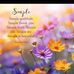 Melanie Sissing - Facebook