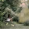 Melony Morse - @melony.morse - TikTok