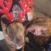 Melony Simons - Facebook