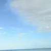melrosebernard801 - @melrosebernard801 - TikTok