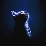 melroy james sequeira - @mel_roy_j_mes - Instagram