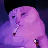 Melroy Sequeira - @melroysequeira32 - TikTok