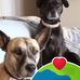 Melton Nelson - Facebook