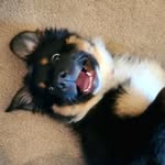 Melton Nelson - @maker_melton - Instagram