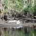 Melton O Nelson memorial park - Facebook