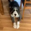 Melva Boyd - @melvaboyd_3935 - TikTok