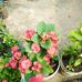 Melva Diaz - Facebook