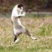 Melva Harding - Facebook