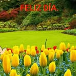 Melva Moran - Facebook