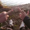 Följer absolut inte tbx😂🤚🏻❌ - @milva.olsson - TikTok