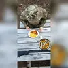 Melvin Adler - @melvinadler63 - TikTok