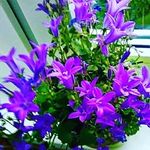 Melvin - @_melvin_andrews - Instagram