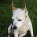 Melvin Arntt - Facebook