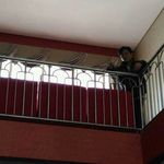 Melvin Arthur - @bung_ony - Instagram