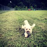 Melvin and Friends - @melvinbarker - Instagram