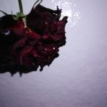 Melvin Barlow - @melvin.barlow.777 - Instagram
