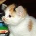 Melvin Berg - Facebook