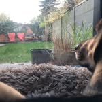 Melvin Berghs - @melvinberghs - Instagram