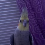 @imma_melvinbird - Instagram