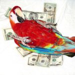Melvin Da Bird - @its_cha_boy_melvin_da_bird - Instagram